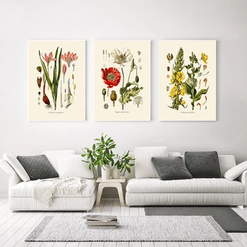 Реколта ботанически щампи Френски илюстрации, Плакати с растения Картина върху платно с цветя, Старинни стенни рисунки Кухня Начало декор