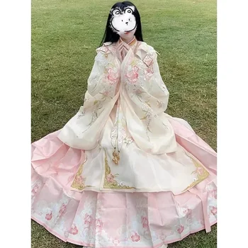 Тежка промишленост на династията Мин, халат за баня с бродерия във формата на облак, пола с конете муцуна, Розова рокля Hanfu, Дамски есенни Елегантни костюми на феите